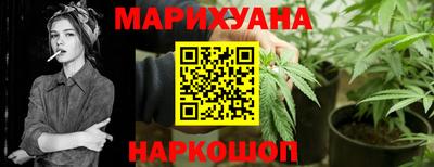 сатива Новодвинск