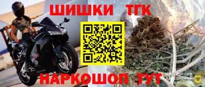 индика Новозыбков