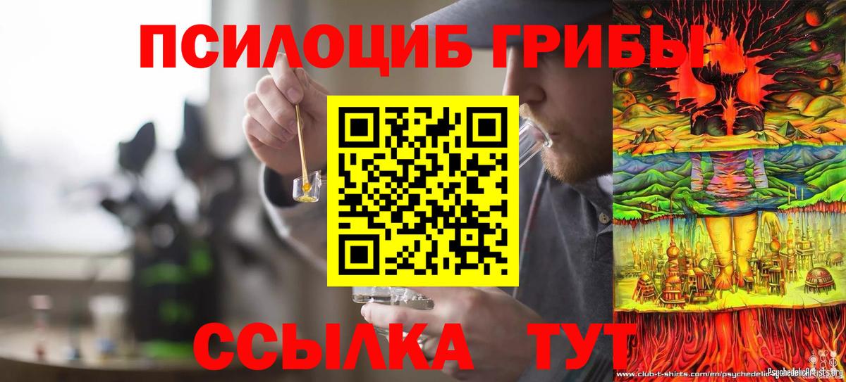 Галлюциногенные грибы Cubensis Сосновый Бор