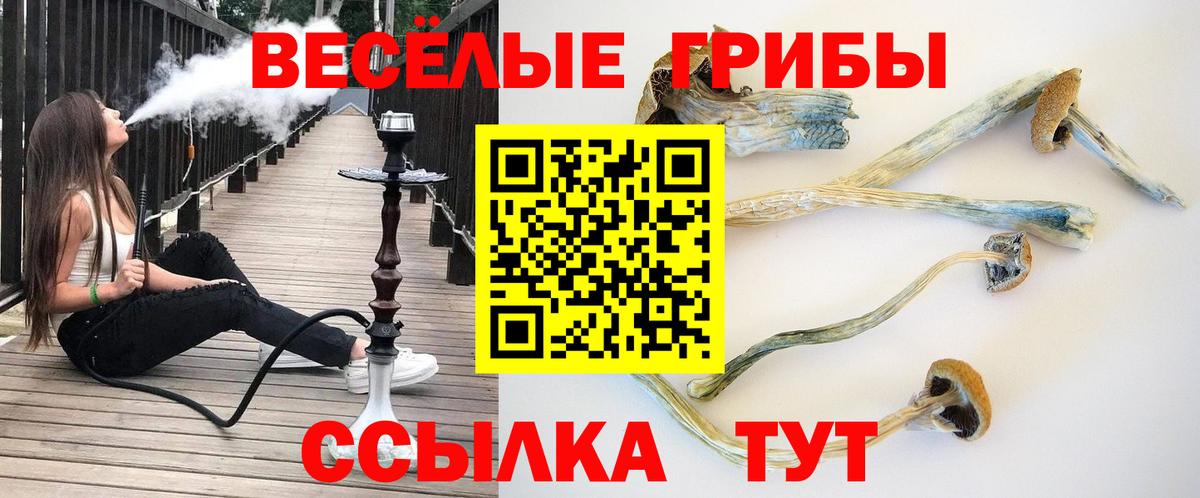 Сосновый Бор  Галлюциногенные грибы MAGIC MUSHROOMS  Вход с VPN 